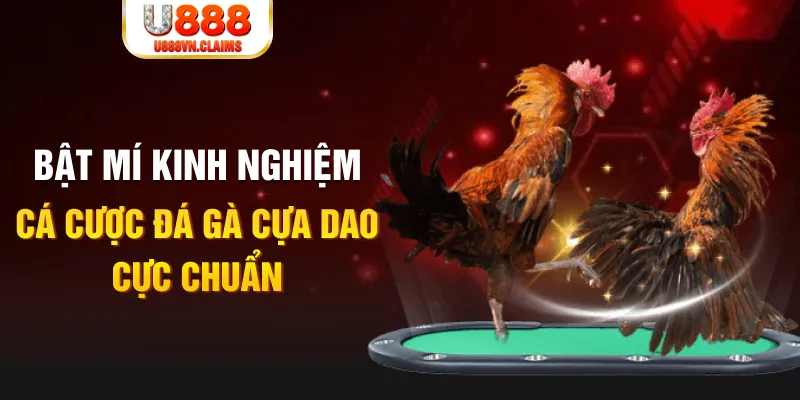 kubet 19 casino hồ tràm có cho người việt vào không