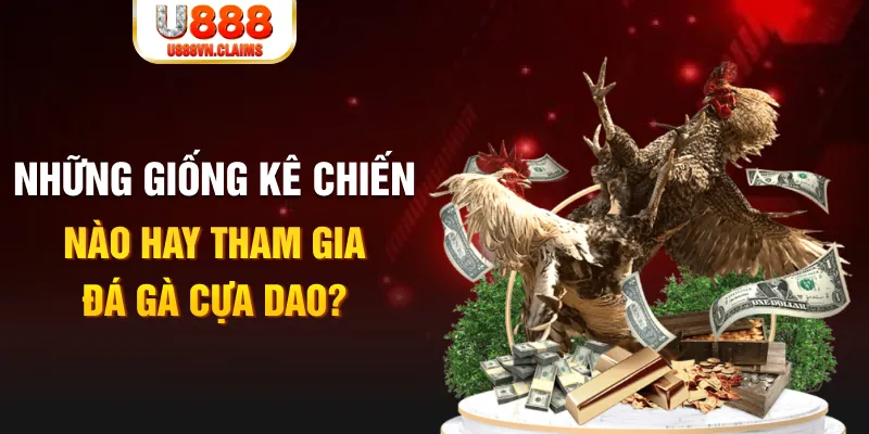kubet 19 BG Trực Tuyến