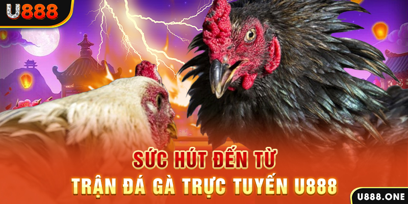 kubet 19 đăng nhập poker 2024