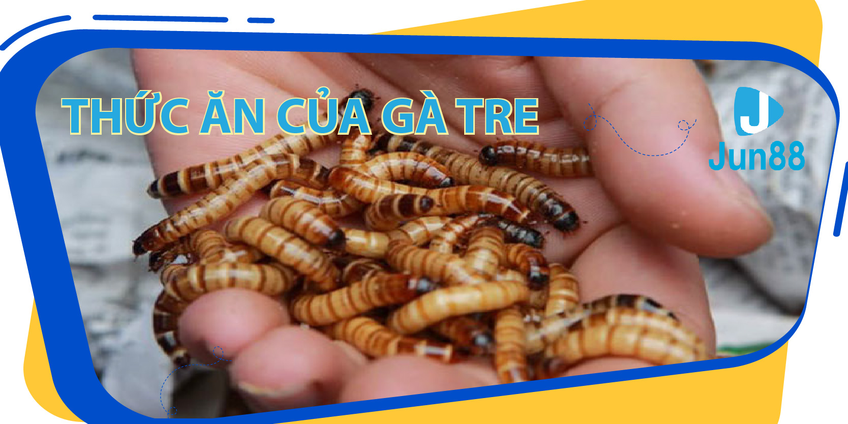 kubet 19 da ga 67