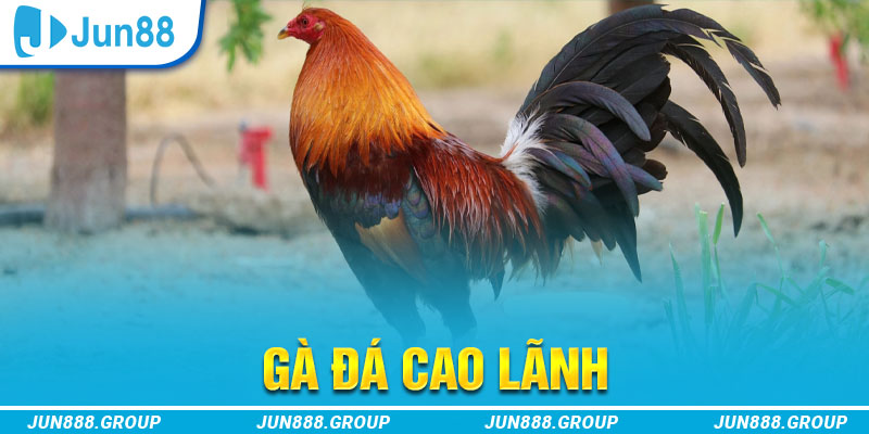 kubet 19 tai game vua bai ve may tinh