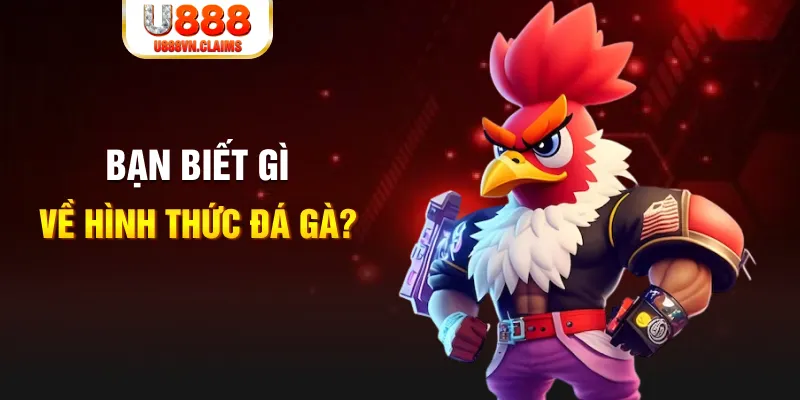 kubet 19 đăng nhập liêng tặng tiền