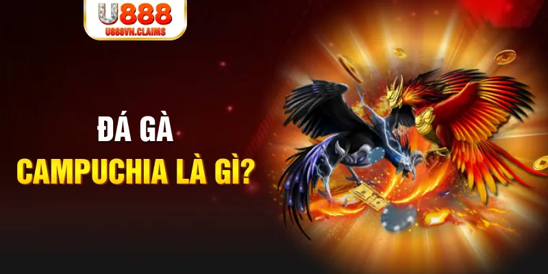 kubet 19 what is the best online casino for real money