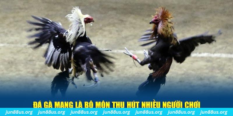 kubet 19 đăng nhập sòng bạc số 1