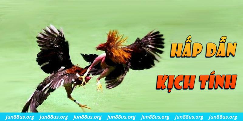 kubet 19 xổ số miền nam thứ sáu