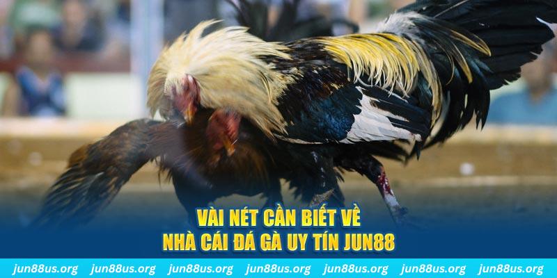kubet 19 Jones Chuối