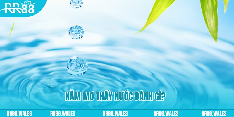 kubet 19 xổ số trực tiếp miền bắc