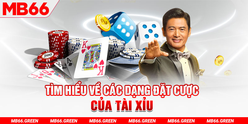 kubet 19 what is a casino loyalty program