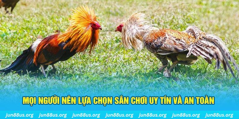 kubet 19 đăng nhập poker 2025