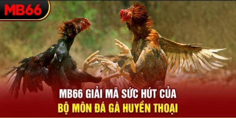 kubet 19 xổ số đài bắc
