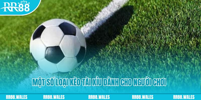 kubet 19 slot nghĩa là gì