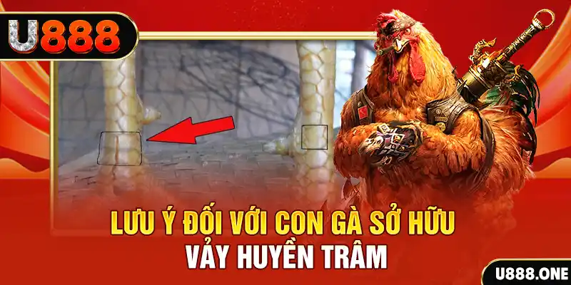 kubet 19 tải game đánh bài tiến lên miền nam về máy tính