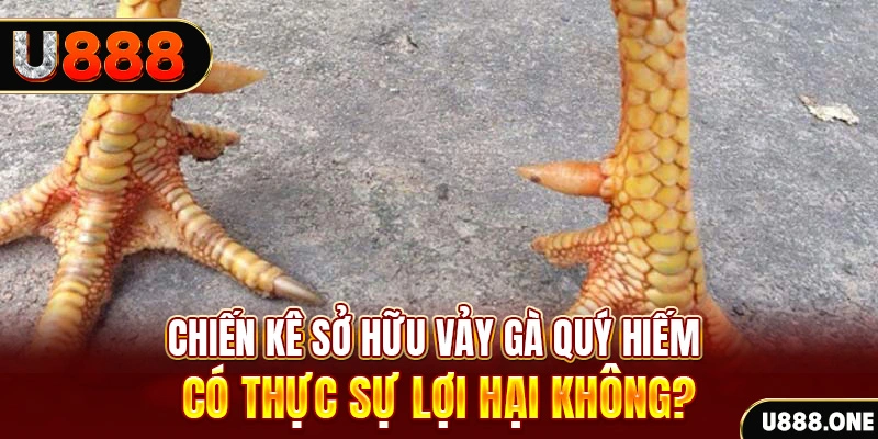 kubet 19 xổ số miền trung