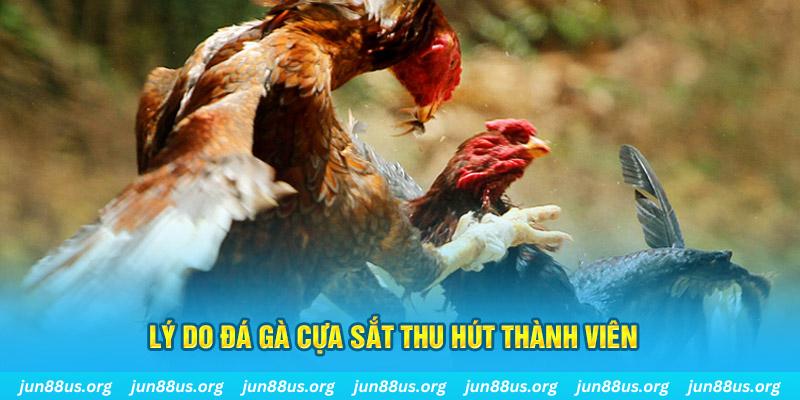 kubet 19 nổ hũ ăn bao nhiêu