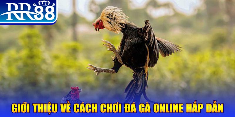 kubet 19 bắn cá h5 là gì