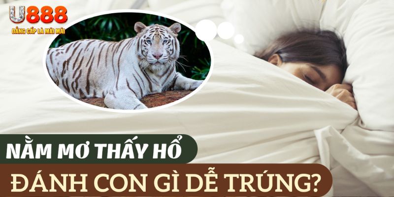 kubet 19 nohu .mx nổ hủ là gì