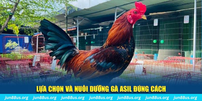kubet 19 nổ hũ thần tài là gì