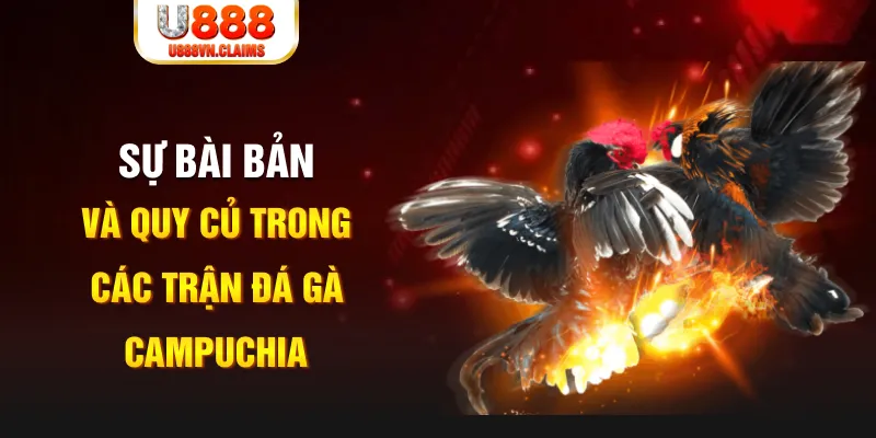 kubet 19 game xếp bài trên máy tính
