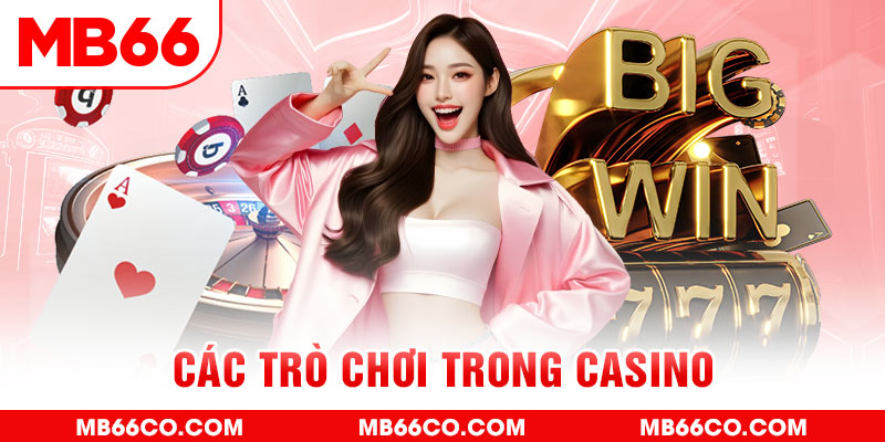 kubet 19 chổi lông gà