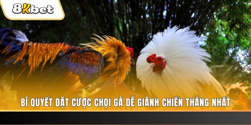 kubet 19 nổ hũ chơi như thế nào