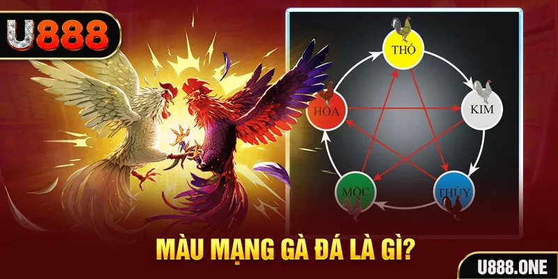 kubet 19 V8 Game Bài 3d