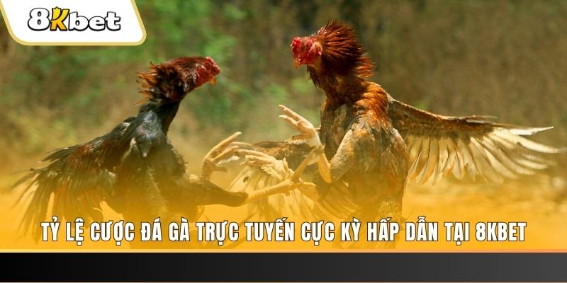 kubet 19 xổ số miền bắc chủ nhật