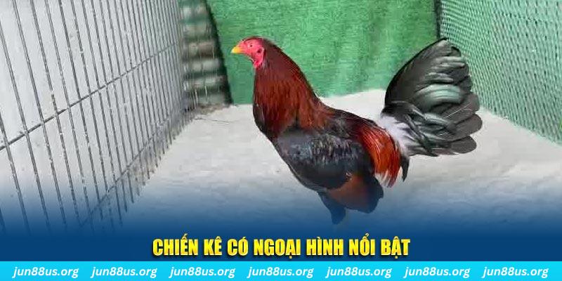 kubet 19 qq88 bắn cá