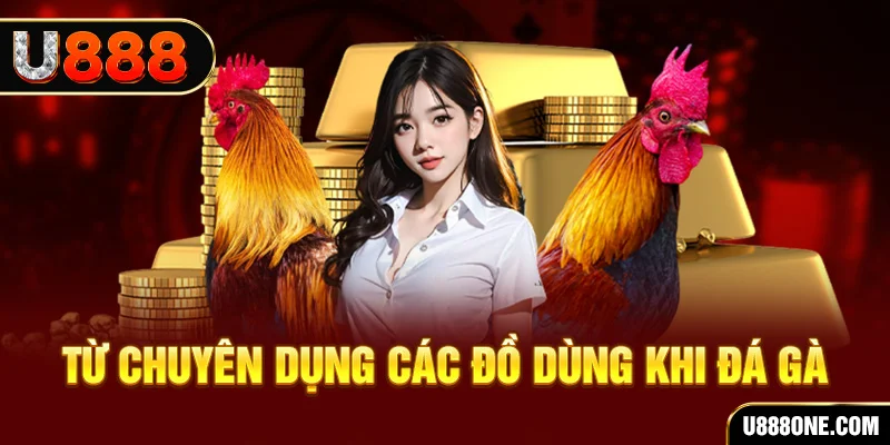 kubet 19 xổ số hồ chí minh