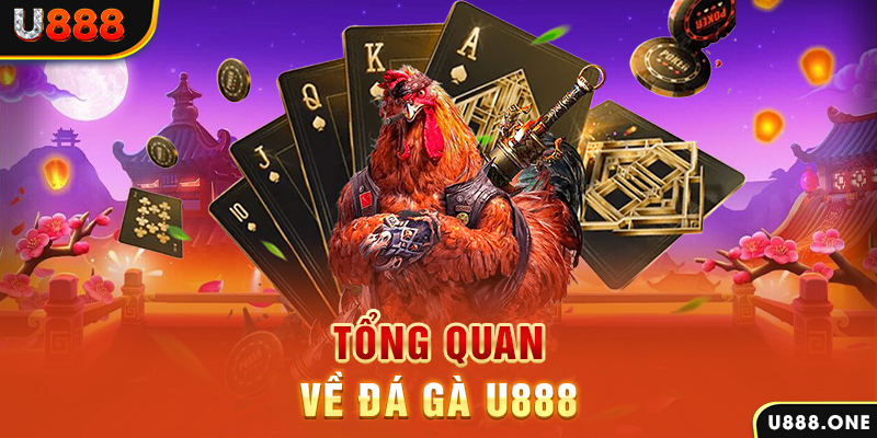 kubet 19 xổ số vietlott