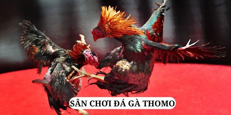 kubet 19 quay nổ hũ là gì