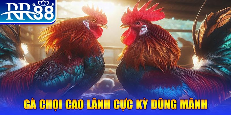 kubet 19 đăng nhập poker live